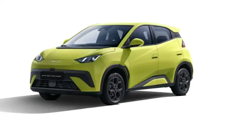 尊龙凯时 Dolphin Surf